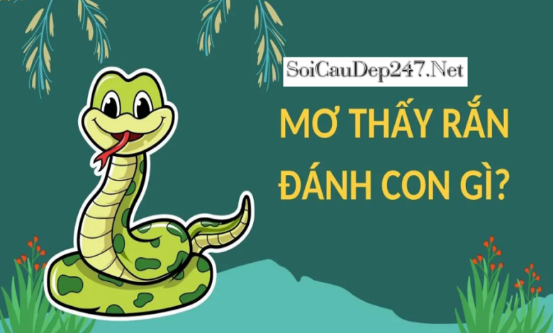 Giải Mã Mơ Thấy Rắn Hổ Mang Đánh Con Gì?